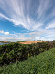 The sky with cirrus clouds over the fields. Beautiful landscape. Nature of the South of Ireland.