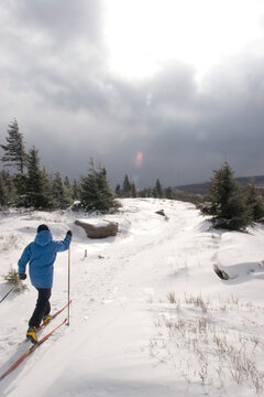 A woman cross country skiing along a ridge trail.; Canaan Valley, West Virginia.