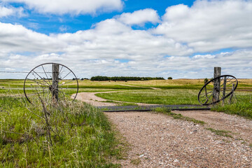 auto gate in pasture road