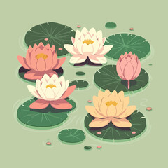 lotus lily water flower and leaf on lake or pond nature background wallpaper