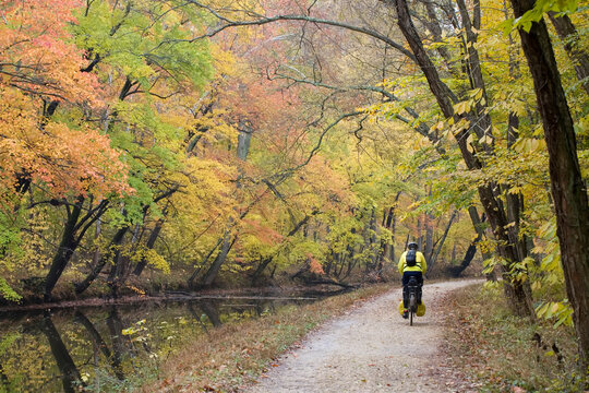A biker on the C&O Canal towpath near Potomac.; Chesapeake and Ohio National Historical Park, Potomac, Maryland.