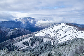 Snowy high mountain landscape with snow-covered trees.