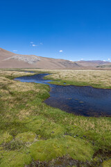 Landscape at Paso Vergara - crossing the border from Chile to Argentina while traveling South America