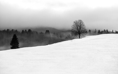 Winter landscape in the mountains