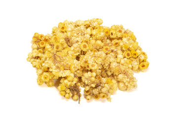 Dried Helichrysum arenarium