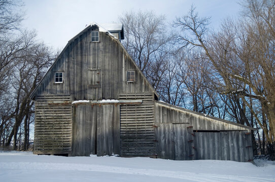 Old weathered barn in snow on a family farm near Cortland, Nebraska, USA; Cortland, Nebraska, United States of America