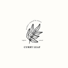 Line art curry leaf illustration - obrazy, fototapety, plakaty