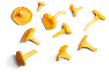 Chanterelles or girolles mushrooms (Cantharellus cibarius), top view isolated png
