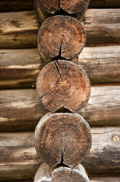 Close-up detail of log ends in a row as part of a log wall, Ryerson Woods, Illinois, USA; Riverwoods, Illinois, United States of America