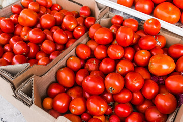Organic market red agriculture tomatoes farm delicious vegetables tomato food vegetarian healthy fresh ripe