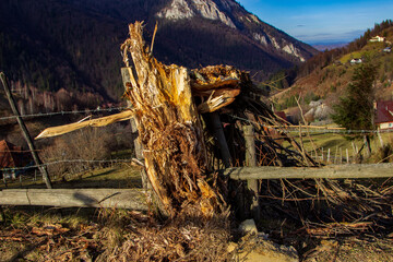 Pure nature in Romania