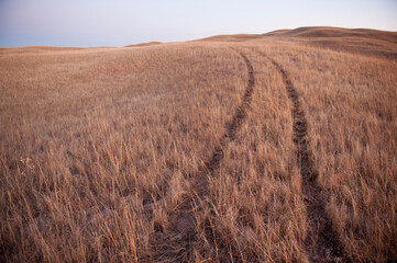Tire tracks leading through a vast grass field; Lakeside, Nebraska, United States of America