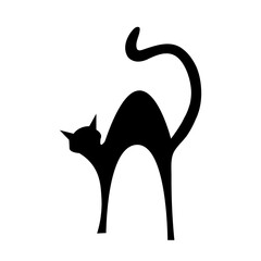 
Black cat silhouette