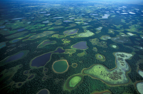 Aerial view of an array of seasonally flooded lowlands in Brazil's Pantanal; Brazil