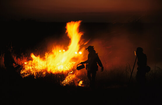 Managers of the wildlife reserve burn bushes to simulate fires that kept the prairie healthy, near Houston, Texas, USA; Texas, United States of America