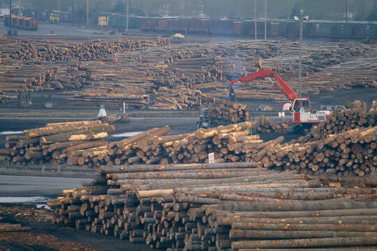 Logs await shipment by rail to mills; Port Longview, Washington, United States of America