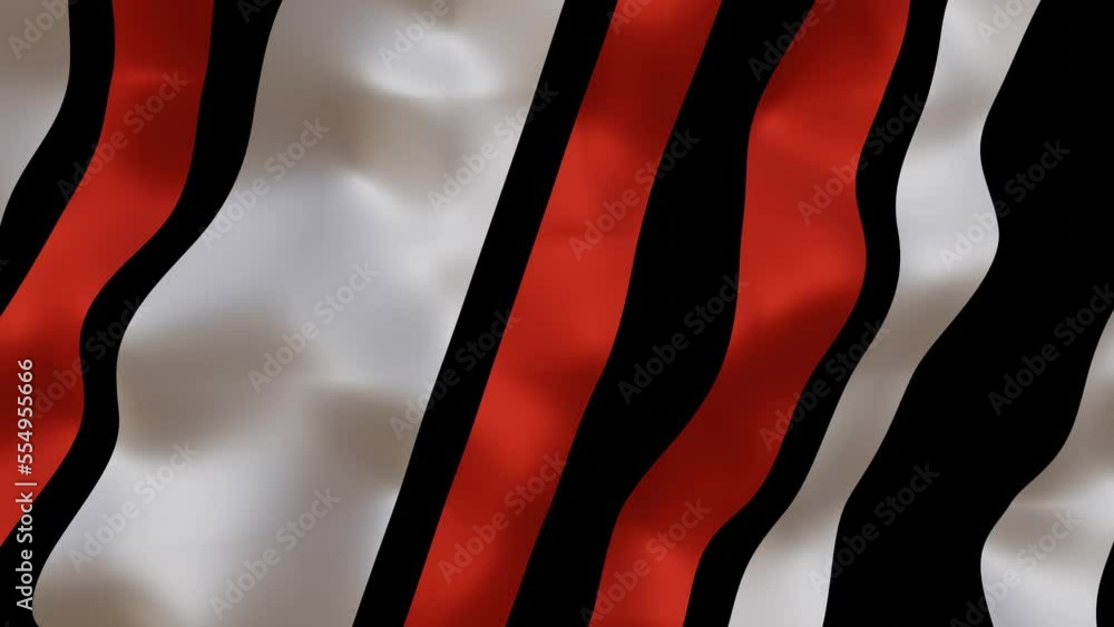 Poster Abstract Colorful texture wavy motion background. Seamless looping with black white and red colors. Video animation of gradient geometric pattern design for business presentation in 3d render.