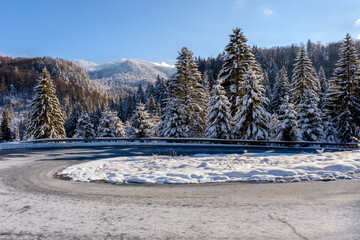 Beautiful winter scenery landscape with wide road in foreground, snowcapped spruce trees under bright sunny light in frosty morning, alpine panoramic view snow capped mountains in background