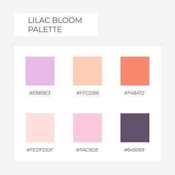 Color element. Trendy pallete of color. Cozy color pallete. Swatch summer shade tone with hex code. Spring pastel colors. Liliac bloom colors
