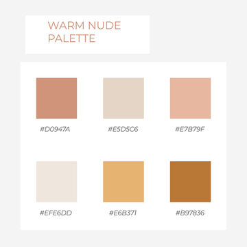Color element. Trendy pallete of color. Cozy nude color pallete. Swatch nude shade tone with hex code. Warm Nude pastel colors.