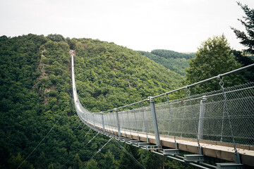 Fototapeta na wymiar suspension bridge in germany