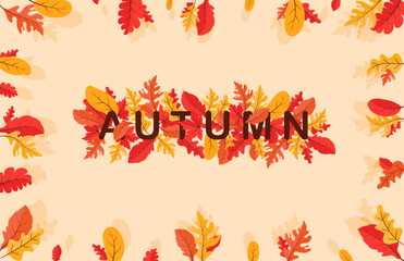 Colorful Autumn fall leaves floral background illustration with maple leaf