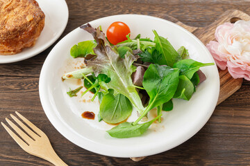 バルサミコ酢をかけたリーフレタス