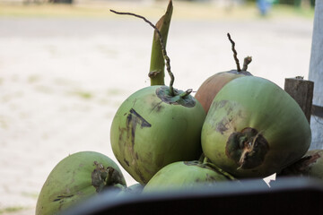 Close up view of pile of green and ripe coconut fruits with bokeh background. No people.