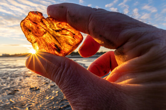 male hand holds recently found amber against the sun
