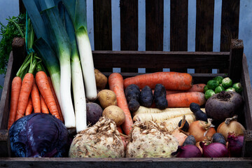 healthy winter vegetables fresh organic food