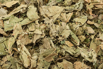 Dried raspberry leaves for background