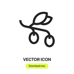 olive icon vector. Linear style sign for mobile concept and web design. olive symbol illustration. Pixel vector graphics - Vector.