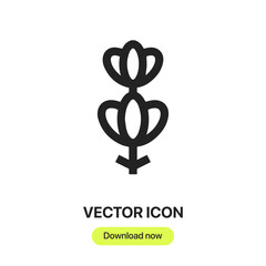 lavender icon vector. Linear style sign for mobile concept and web design. lavender symbol illustration. Pixel vector graphics - Vector.