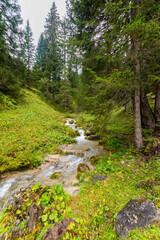 Fototapeta na wymiar alpin river in the forest (austria)