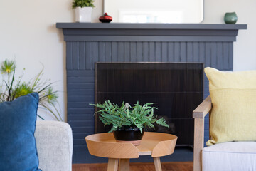 Classic living room detail of blue brick fireplace behind side table with fern. 