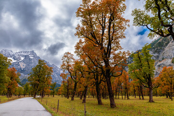Ahornboden during autumn (Eng Valley, Tyrol, Austria)