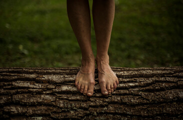 pies de mujer sobre corteza de árbol caído - obrazy, fototapety, plakaty
