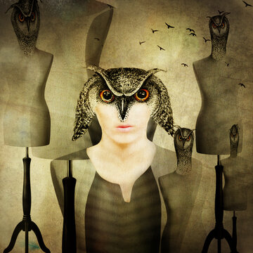 Ilustracja kolaż abstrakcyjna postać kobiety i sowy na tle manekin&oacute;w.