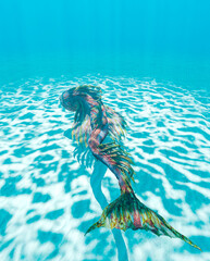 Fototapeta premium monster triclogalodon is under the sea on rear top view