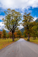 Fototapeta premium road to the mountains (Ahornboden/Eng Valley, Tyrol, Austria)