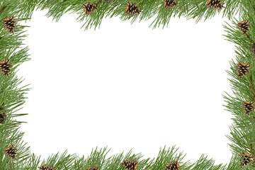 A frame of pine branches with small cones on a white background.