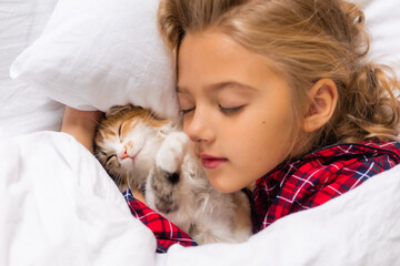 a cute little girl is sleeping sweetly at home in a rabbit with a kitten. White cotton bed linen. Christmas holidays. Children and pets at home