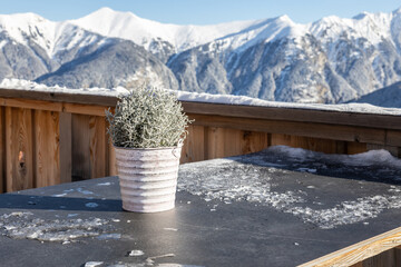Outdoor table with winter plant in restaurant with mountain view in ski resort, Alps, Austria,...