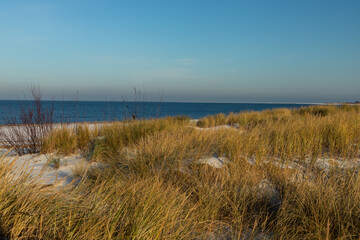A view of the dunes in Sobieszewo on the Gulf of Gdansk