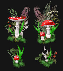 Compositions with Fly agarics, mushroom, and plants isolated. Vector.