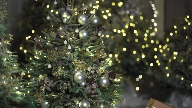 Christmas tree decorations in living trees lamp lights