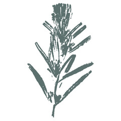 Christmas Elegant PNG isolated clipart. Boho kids design poster.Doodled drawing in scandinavian style.