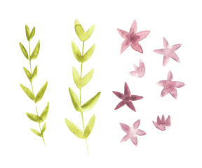 Watercolor illustration of a set of individual branches with leaves and small pink flowers. Decorative sprigs of eucalyptus