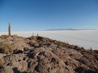 Isla Del Pescado, Uyuni