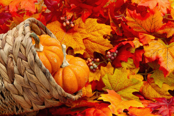 Autumn leaves with a cornucopia and pumpkins background